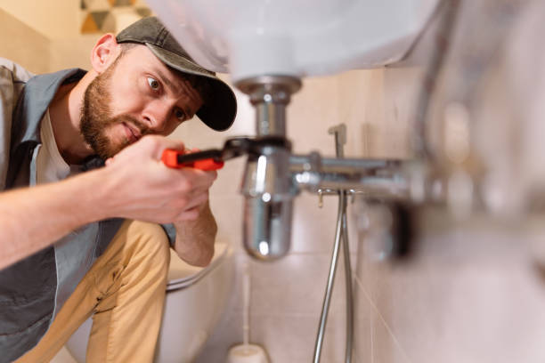 Best Emergency Plumber  in Hamton, IL