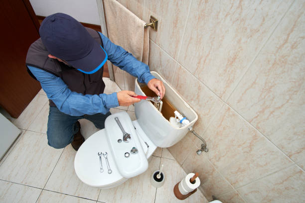 Best Drain Cleaning Services  in Hamton, IL