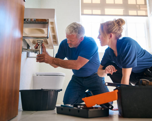 Best Plumbing Inspection Services  in Hamton, IL